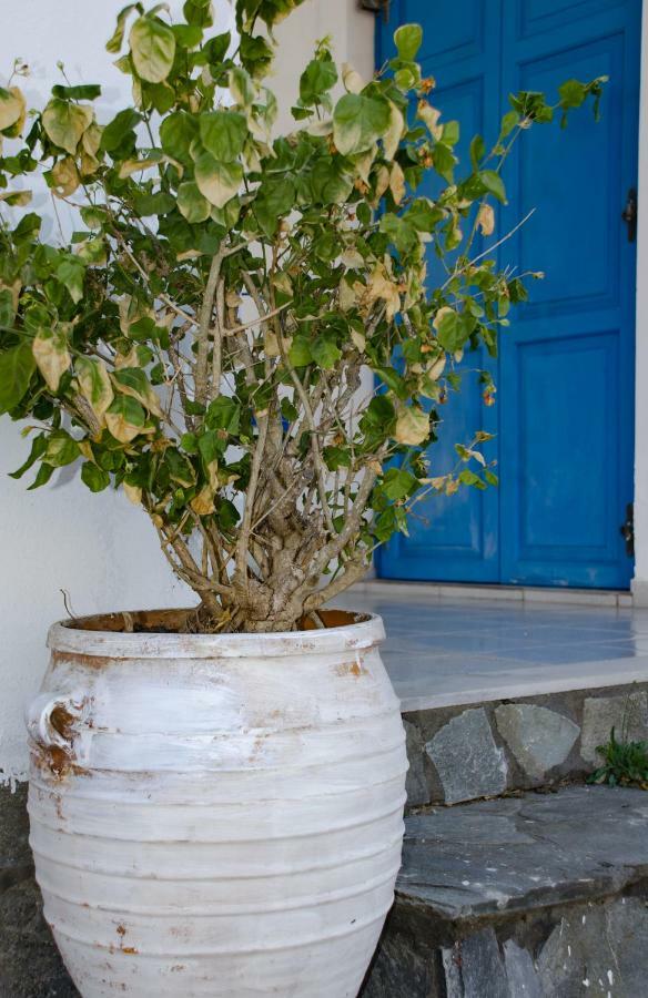Villa Georgia Vasilikos  Exterior photo